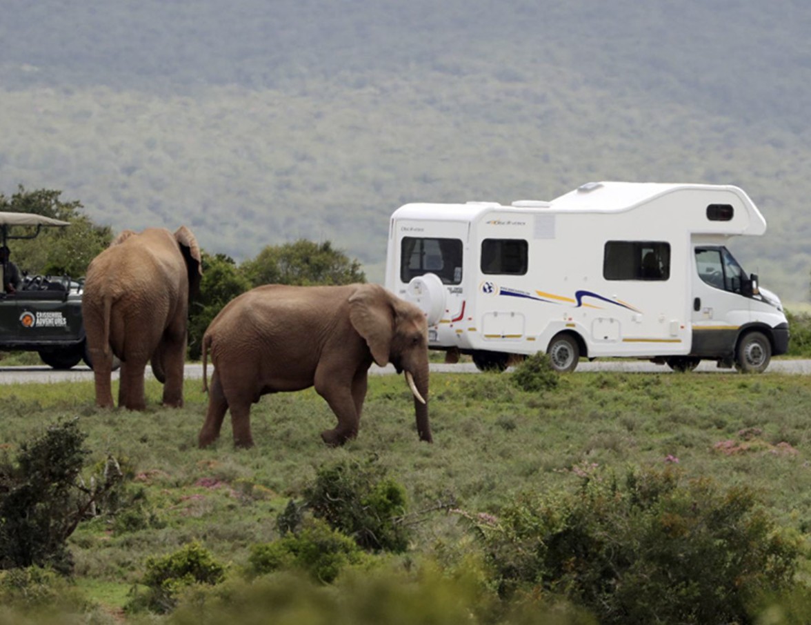 השכרת קרוואן קרוואנים בהשכרת קרוואן קרוואנים אפריקה מוטורהום קמפר קמפינג טיולי משפחות קרוונים אפריקה השכרת קרוואן קרוואנים בהשכרת קרוואן קרוואנים אפריקה מוטורהום קמפר קמפינג טיולי משפחות קרוונים אפריקה